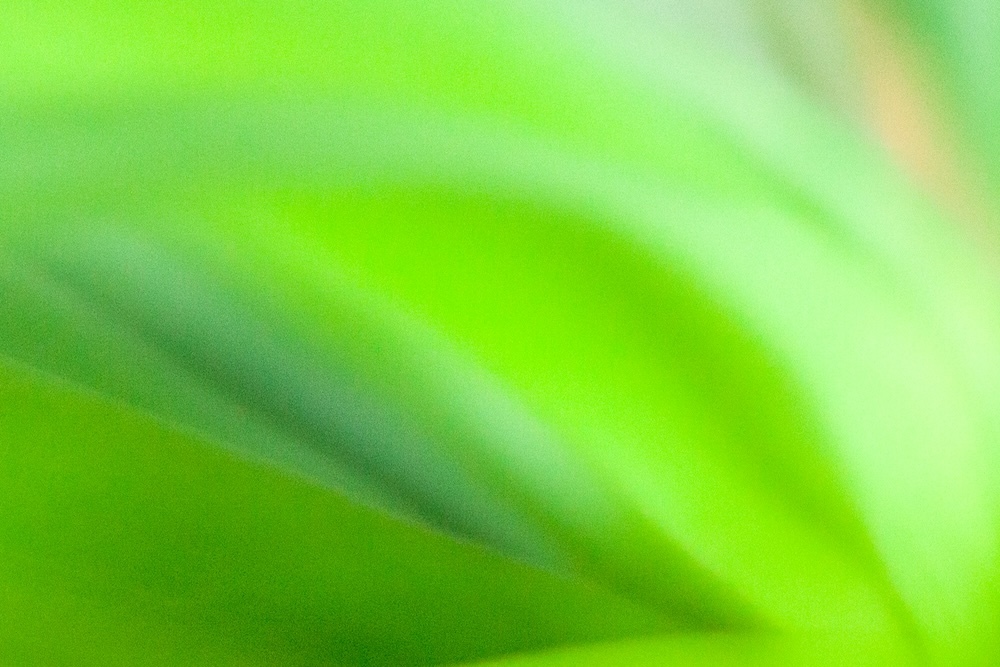 festival skincare essentials dr alexis granite