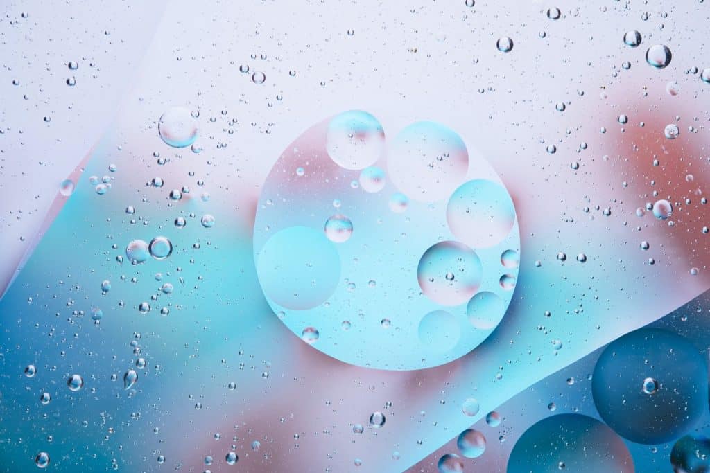 Menopause and skin