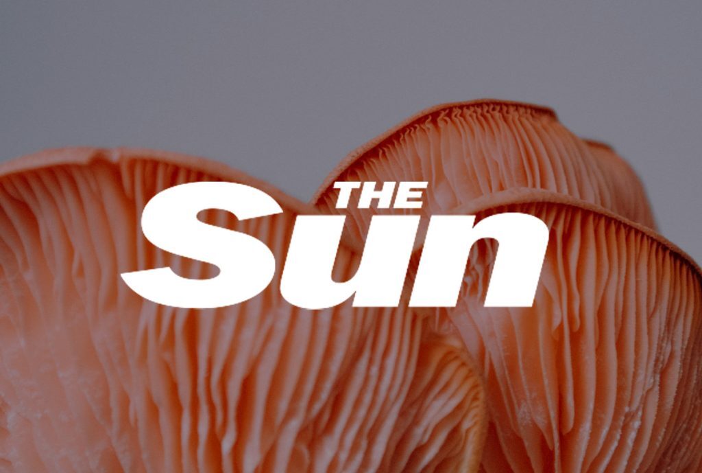 the sun 19 09 24